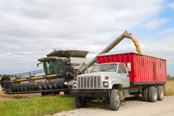 diesel-off-road-delivery-service